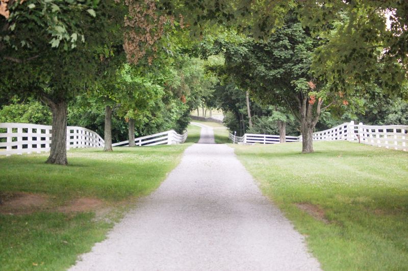 Driveway Grading Service